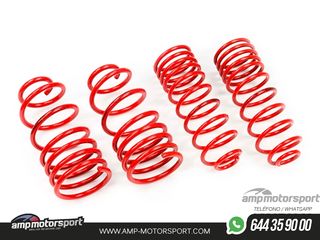 MUELLES DEPORTIVOS MTS TECHNIK MTSXVW075