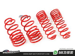 MUELLES DEPORTIVOS MTS TECHNIK MTSXTO094