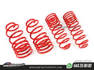 MUELLES DEPORTIVOS MTS TECHNIK MTSXSK025