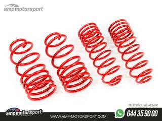 MUELLES DEPORTIVOS MTS TECHNIK MTSXFO131