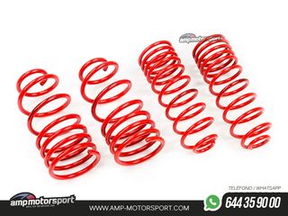 MUELLES DEPORTIVOS MTS TECHNIK MTSXVW035