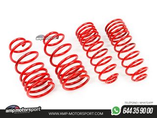 MUELLES DEPORTIVOS MTS TECHNIK MTSXVW350