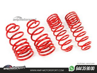 MUELLES DEPORTIVOS MTS TECHNIK MTSXTO093