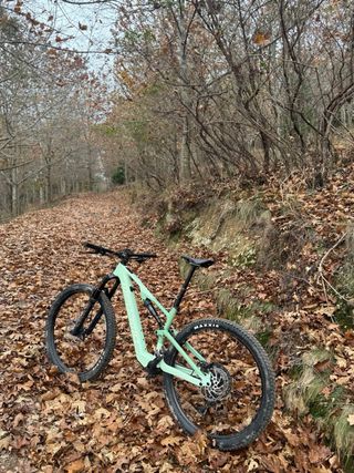 Bicicleta eléctrica Megamo Native