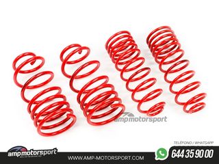 MUELLES DEPORTIVOS MTS TECHNIK MTSXVW424