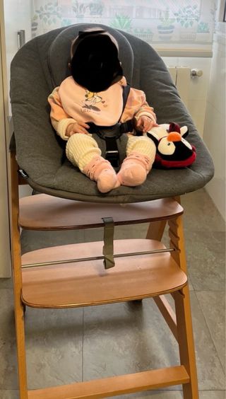 Trona evolutiva con hamaca y cojín