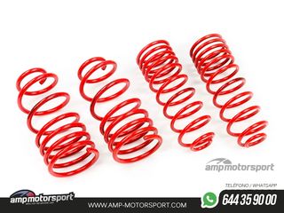 MUELLES DEPORTIVOS MTS TECHNIK MTSXVW335