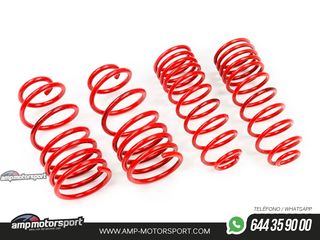 MUELLES DEPORTIVOS MTS TECHNIK MTSXSK071