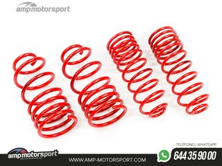 MUELLES DEPORTIVOS MTS TECHNIK MTSXVW419