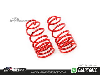 MUELLES DEPORTIVOS MTS TECHNIK MTSXCI035