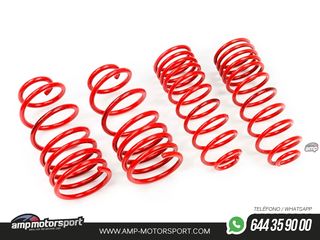 MUELLES DEPORTIVOS MTS TECHNIK MTSXVW030