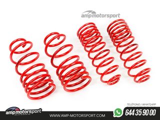 MUELLES DEPORTIVOS MTS TECHNIK MTSXSK110