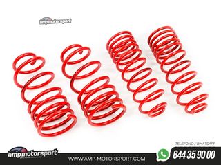 MUELLES DEPORTIVOS MTS TECHNIK MTSXSK075