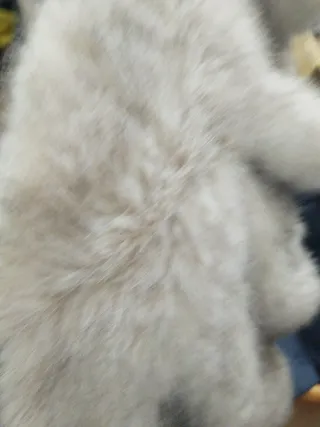 Abrigo de señora T44 nuevo