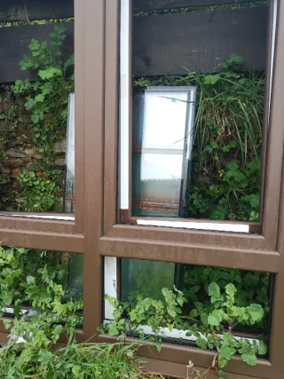 Ventanas PVC Marrones