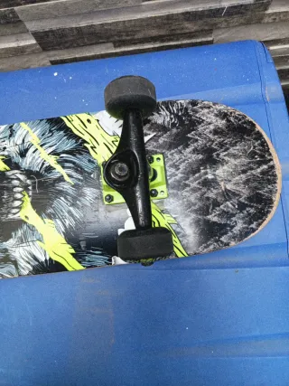 Skate Oxelo Lobo para principiantes