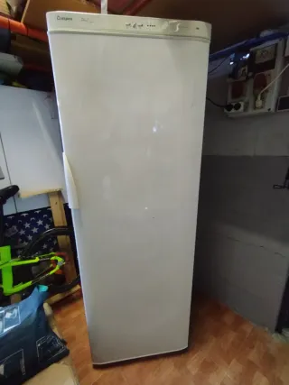 Congelador vertical Aspes