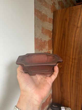 Maceta bigei para bonsái