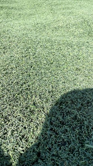 Césped artificial reciclado