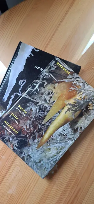 2 libros de espeleología de cuevas de Francia
