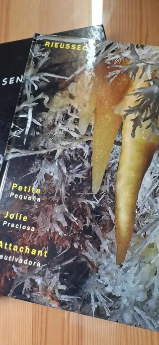 2 libros de espeleología de cuevas de Francia