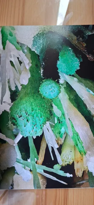 2 libros de espeleología de cuevas de Francia