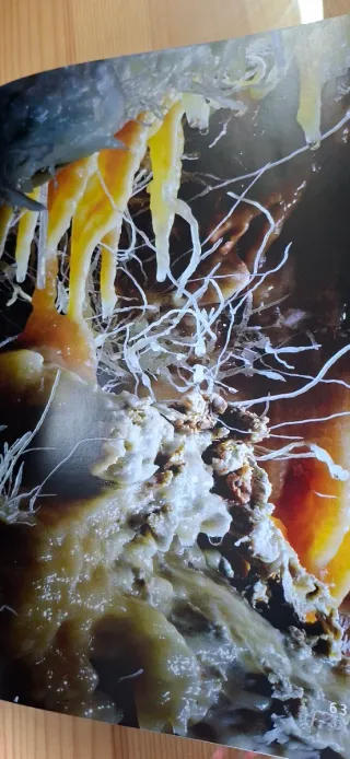 2 libros de espeleología de cuevas de Francia