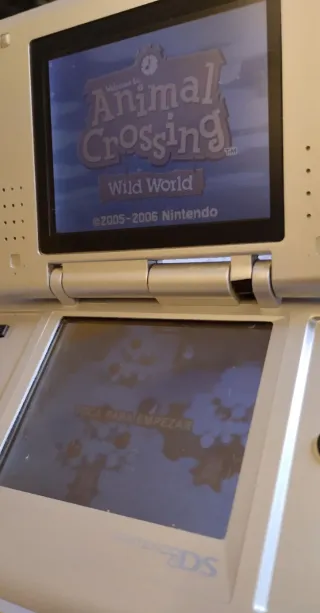 Juegos DS  Animal Crossing-Princess Peach