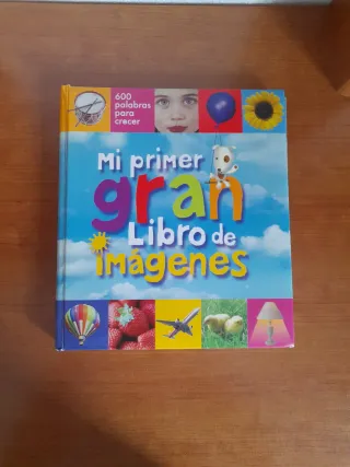Mi Primer Gran Libro de Imágenes