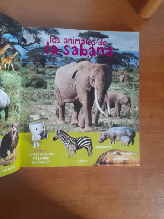 Mi Primer Gran Libro de Imágenes