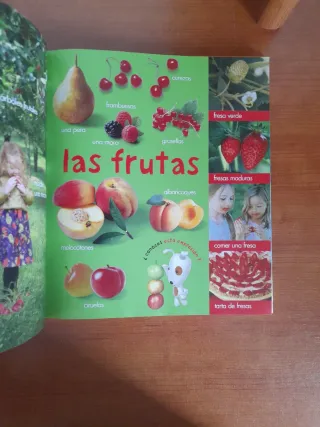 Mi Primer Gran Libro de Imágenes