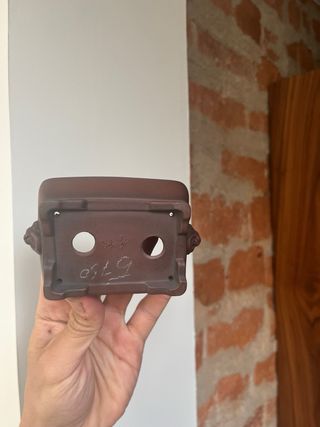 Maceta bonsái terracota con león