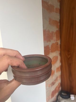 Maceta bonsai bigei marrón