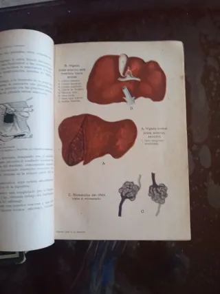 2 Enciclopedias El Médico en Casa 1932.TOMO I y II