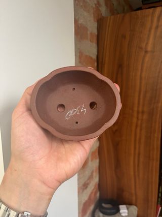 Maceta shibakatsu  para bonsái