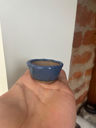 Maceta bonsai japonesa cerámica azul