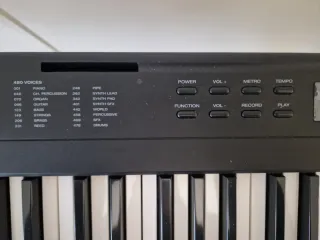 Teclado Alesis con soporte