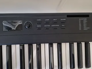 Teclado Alesis con soporte