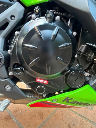 Kawasaki Ninja 650 performance KRT 2024