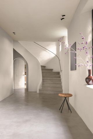 Bruguer ELEGANCE Pintura Monocapa ExtraMate, Pared