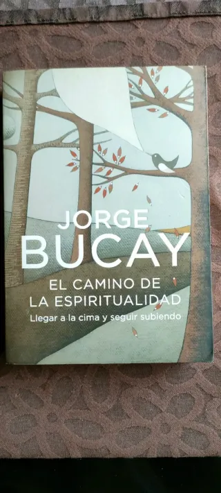 El camino de la espiritualidad: Llegar a la cim...