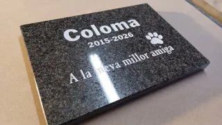 Plaques conmemoratives/làpida per mascotes.