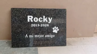 Plaques conmemoratives/làpida per mascotes.
