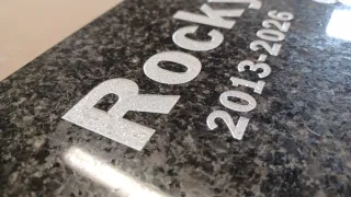 Plaques conmemoratives/làpida per mascotes.