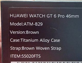 Huawei Watch GT 6 Pro - Titanio