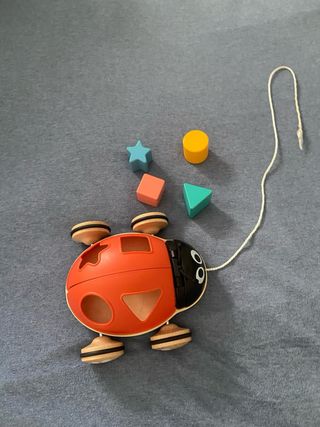 Hape Mariquita de arrastre