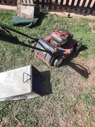 Cortasetos a gasolina y cortacésped toro