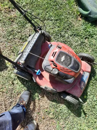 Cortasetos a gasolina y cortacésped toro