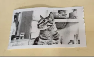 Cámara Print Camera X16 Zoom Infantil