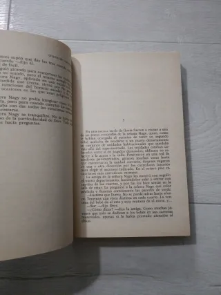 El Muchacho que giraba